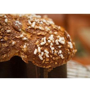Colomba artigianale albicocca e cioccolato bianco di Mauro Morandin 2