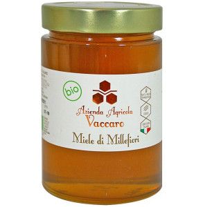 Miele biologico di Millefiori di montagna